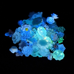 Luminous Resin Decoden Cabochons&nbsp;RESI-K036-05F