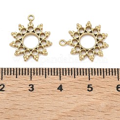 304 Stainless Steel Pendants&nbsp;STAS-L022-568G