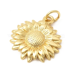 Brass Pendants&nbsp;KK-A296-45A-G