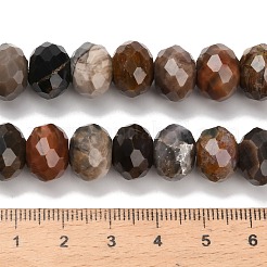 Natural Petrified Wood Beads Strands&nbsp;G-C259-A06-8x12mm-01