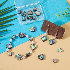 12Pcs 2 Styles Natural Abalone Shell/Paua Shell Beads&nbsp;SHEL-TA0001-41