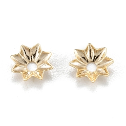 Multi-Petal Brass Bead Caps&nbsp;KK-D063-17G