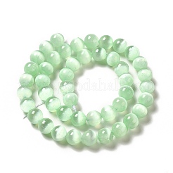 Natural Selenite Beads Strands&nbsp;G-P493-01H
