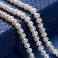 Natural Cultured Freshwater Pearl Beads Strands&nbsp;PEAR-I004-03