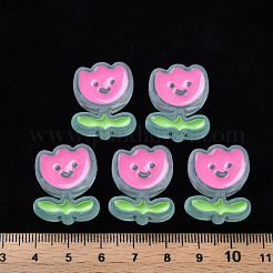 Transparent Acrylic Beads&nbsp;X-MACR-S374-03B-05