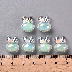 Transparent Acrylic Beads&nbsp;TACR-S152-05B-SS2111