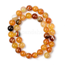 Natural Sardonyx Beads Strands&nbsp;G-S369-002D-B02