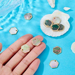 10Pcs Natural Black Lip Shell Hexagon Charms&nbsp;BSHE-TA0001-25