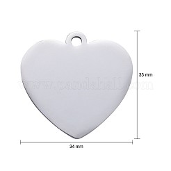 Tarnish Resistant 304 Stainless Steel Pendants&nbsp;STAS-I140-10B-S