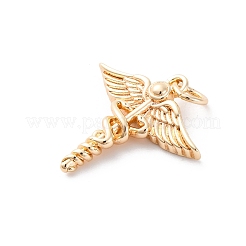 Brass Pendants&nbsp;KK-D360-16G