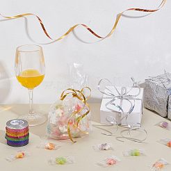 20 Rolls 10 Colors Plastic Laser Glitter Printed Ribbons&nbsp;OCOR-PH0004-57