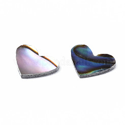 Natural Abalone Shell/Paua Shell Cabochons&nbsp;SSHEL-N034-117