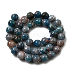 Natural Apatite Beads Strands&nbsp;G-D340-A02-10mm