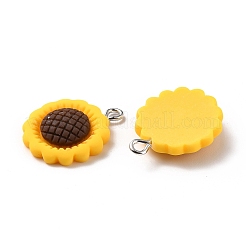 Resin Pendants&nbsp;RESI-C002-27