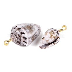 Brass & Natural Cone Shell Pendants&nbsp;SHEL-Q029-21KCG