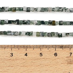 Natural Moss Agate Beads Strands&nbsp;GG-CBA2498-A04-01