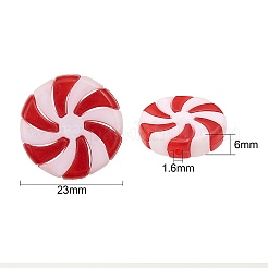 Acrylic Beads&nbsp;LS-OACR-CJC0004-02