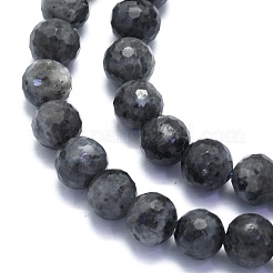 Natural Larvikite Beads Strands&nbsp;G-K310-A17-8mm