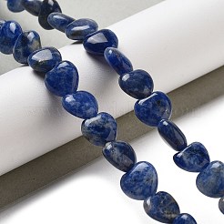 Natural Sodalite Beads Strands&nbsp;G-R190-10mm-37