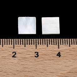 White Shell Cabochons&nbsp;SSHEL-I007-11