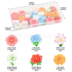 24Pcs 6 Styles Opaque Resin Flowers Cabochons&nbsp;RESI-FS0002-16