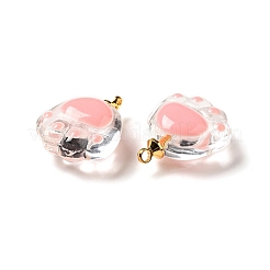 Transparent Glass Pendants&nbsp;FIND-I029-03A