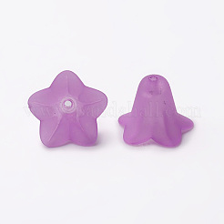 Transparent Acrylic Beads&nbsp;X-PLF018-04