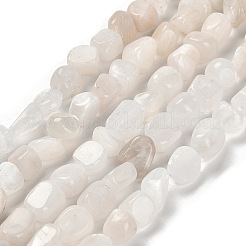 Natural Rainbow Moonstone Beads Strands&nbsp;G-P497-01E-69A