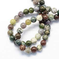 Round Natural Indian Agate Beads Strands&nbsp;X-G-S122-4mm