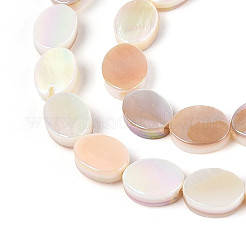 Electroplated Natural Freshwater Shell Beads Strands&nbsp;SHEL-N038-27