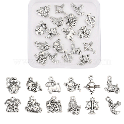 Zinc Alloy Charms&nbsp;PALLOY-CJ0001-100