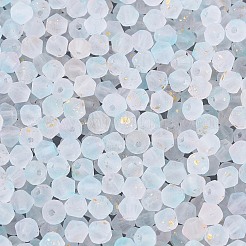 Frosted Glass Seed Beads&nbsp;SEED-N012-01B