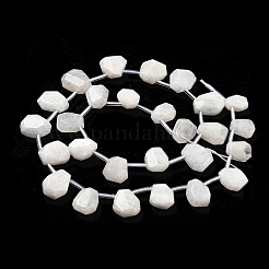 Natural Rainbow Moonstone Beads Strands&nbsp;G-Z040-A06-01
