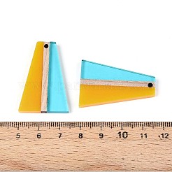 Transparent Resin & Wood Pendants&nbsp;RESI-T057-78