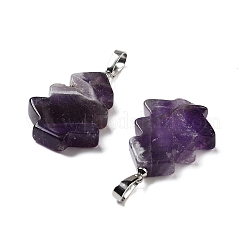 Natural Amethyst Pendants&nbsp;G-A203-01I-P
