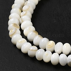 Natural Freshwater Shell Beads Strands&nbsp;BSHE-E026-15A-01