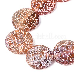 Natural Weathered Agate Beads Strands&nbsp;G-Q606-42D