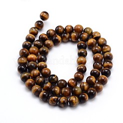 Natural Tiger Eye Beads Strands&nbsp;G-J303-11-6mm
