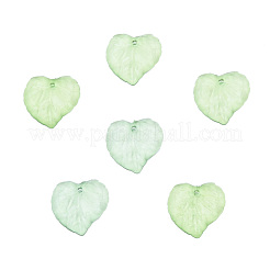 Transparent Acrylic Pendants&nbsp;DBLA410-10