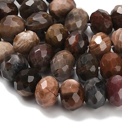 Natural Petrified Wood Beads Strands&nbsp;G-C259-A06-8x12mm-01