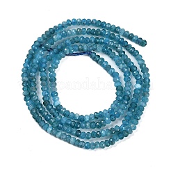 Natural Apatite Beads Strands&nbsp;G-P553-F02-01