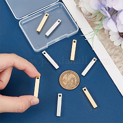 8Pcs 2 Colors 304 Stainless Steel Pendants&nbsp;FIND-UN0004-05