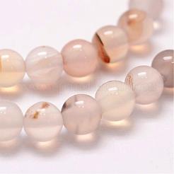 Natural Dendritic Agate Bead Strands&nbsp;G-G880-01-6mm