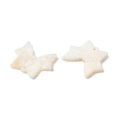 Natural Freshwater Shell Pendants&nbsp;SHEL-K006-31