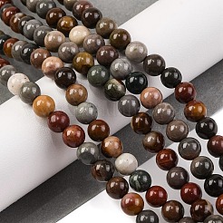 Natural Picture Jasper Beads Strands&nbsp;G-H037-A01-04