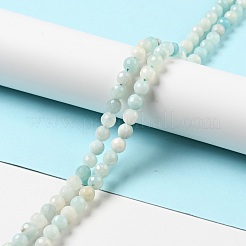 Natural Amazonite Beads Strands&nbsp;G-E571-38