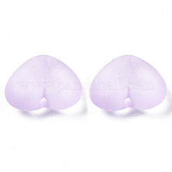 Transparent Acrylic Beads&nbsp;X-TACR-S134-030
