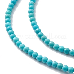 Natural Howlite Beads Strands&nbsp;X-TURQ-K005-01A