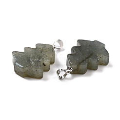 Natural Labradorite Pendants&nbsp;G-A203-01F-P