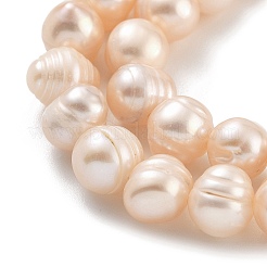 Natural Cultured Freshwater Pearl Beads Strands&nbsp;PEAR-C003-01B